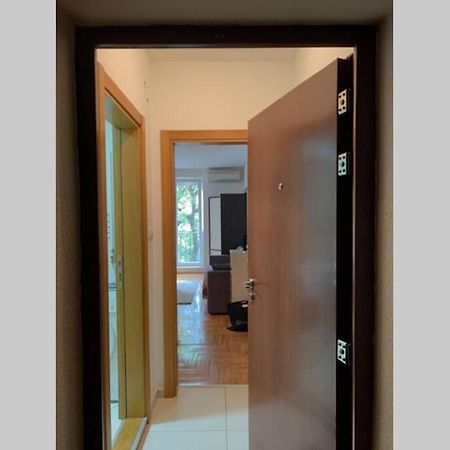 Renovated Cozy Studio 7 At Top Location - Available For Long Term Rentals Novi Sad Eksteriør bilde