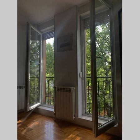 Renovated Cozy Studio 7 At Top Location - Available For Long Term Rentals Novi Sad Eksteriør bilde