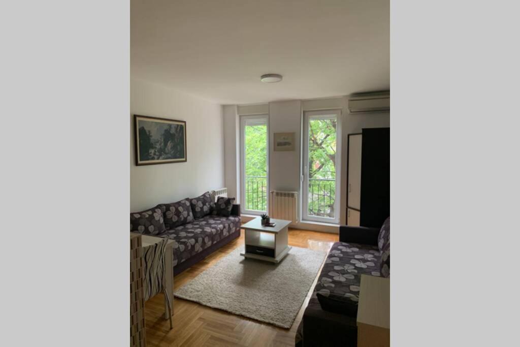 Renovated Cozy Studio 7 At Top Location - Available For Long Term Rentals Novi Sad Eksteriør bilde