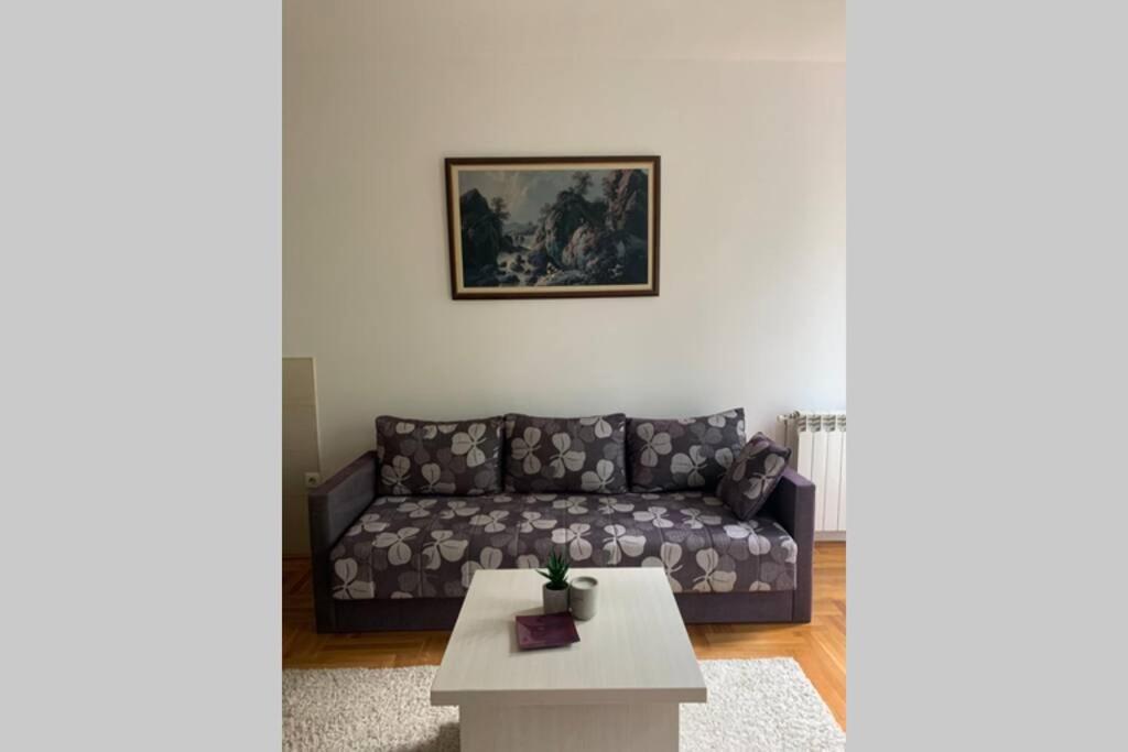 Renovated Cozy Studio 7 At Top Location - Available For Long Term Rentals Novi Sad Eksteriør bilde